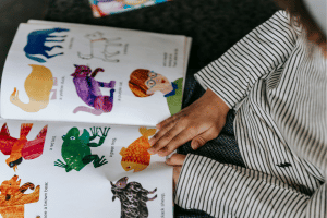 Visual Storytelling Training Course in Portugal